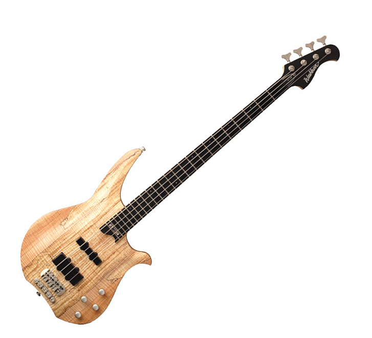 Bass Review For Bassist Washburn CB14 4 String Bass