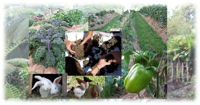 About Permaculture