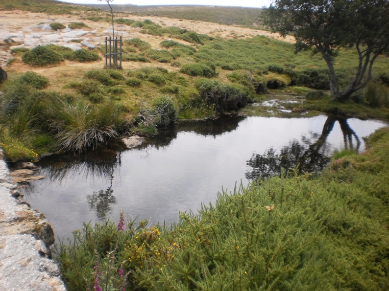 Água Límpida da Serra