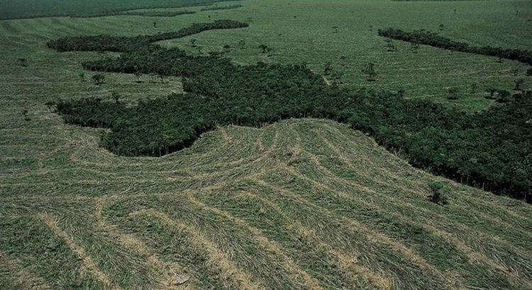 Quarentena Corona virus