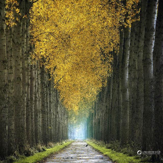 Awesome Photography By LarsVanDeGoor
