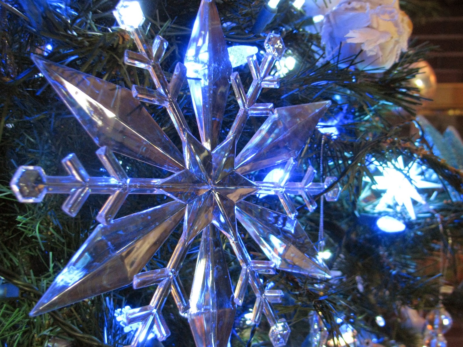 Dragonflies and Thistles: Christmas tour