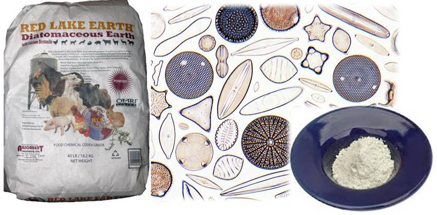 Diatomaceous Earth Food Grade For Deworming Cats Diatomaceous Earth Food Grade For Deworming Cats