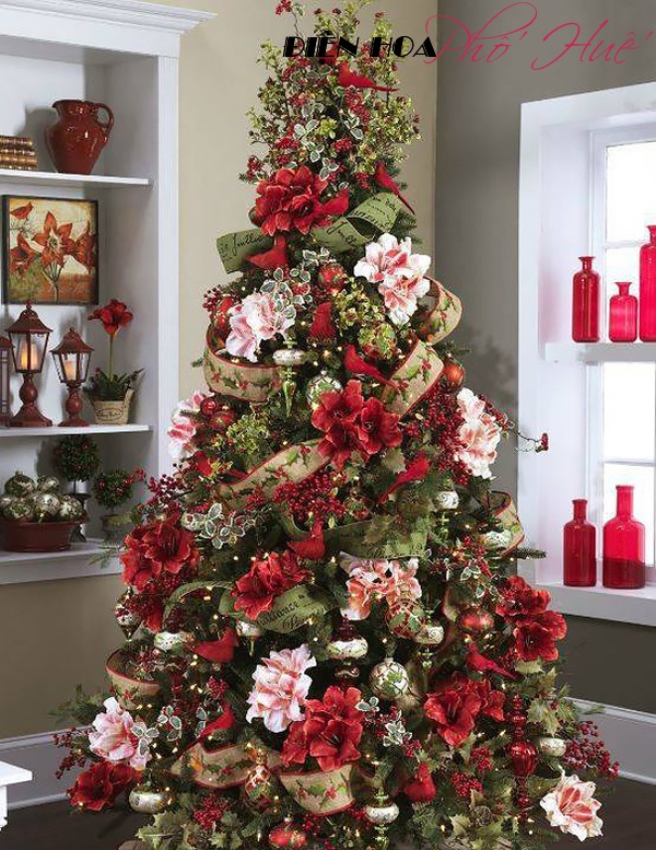 [Image: Khoac-ao-hoa-cho-cay-thong-Noel-mua-Giang-Sinh-1.jpg]