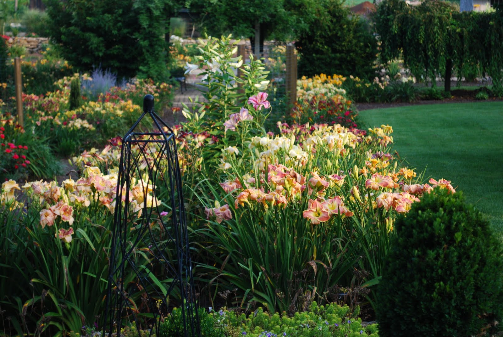 Country Garden Home: Daylily Companions