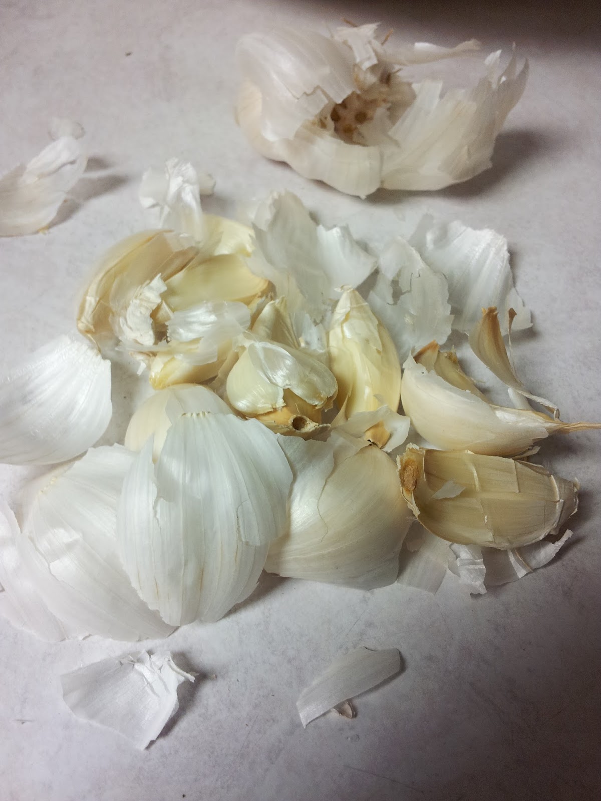 the leopard lizard Garlic