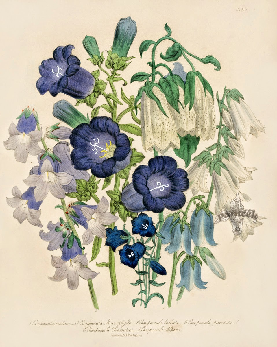 Infotainment @ www.keralites.net Fun & Info @ Keralites.net