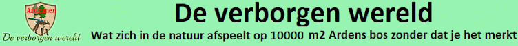 De verborgen wereld