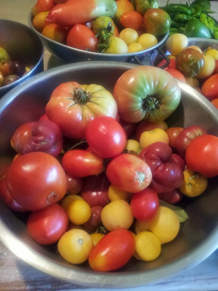 TSG Heirloom Honey Tomato Ketchup