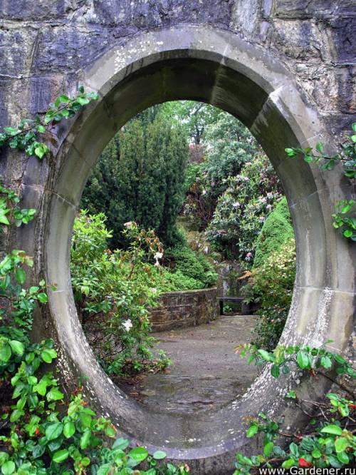 LEER CLSICOS: El cielo protector - Paul Bowles