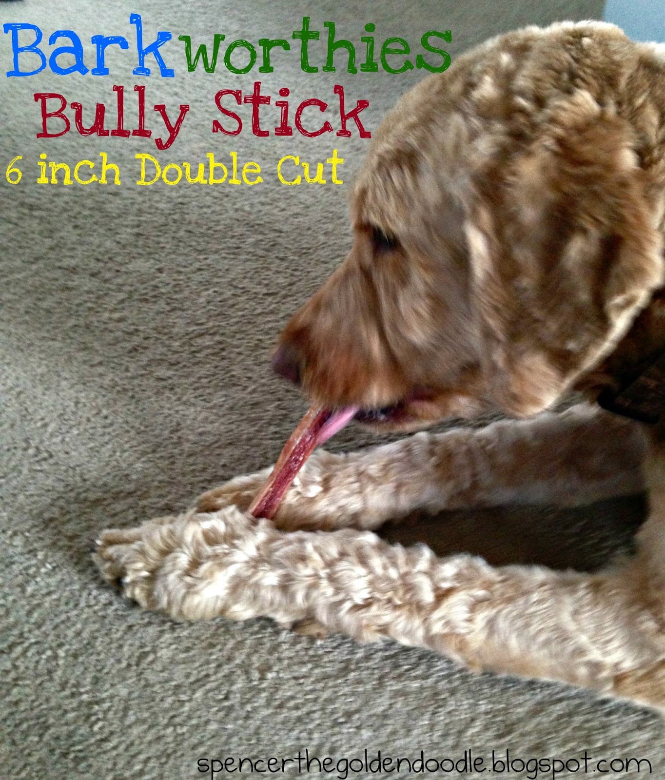barkworthies bully sticks reviews