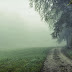 A misty morning