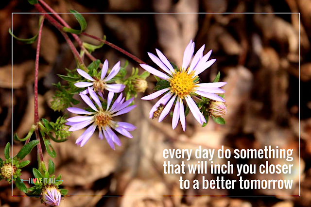 #good #words #quote #quotes #sunday #SundayPhotos #iloveitallblog #sayings