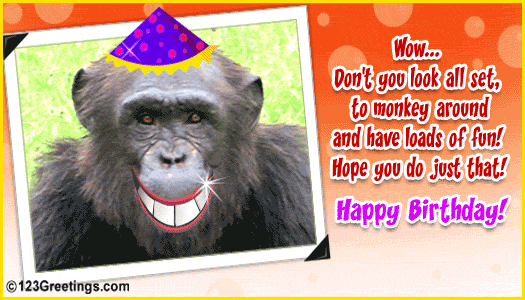 Download this Funny Happy Birthday... picture