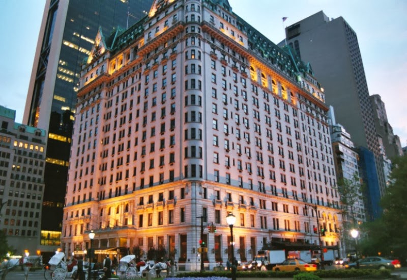 tommy hilfiger plaza