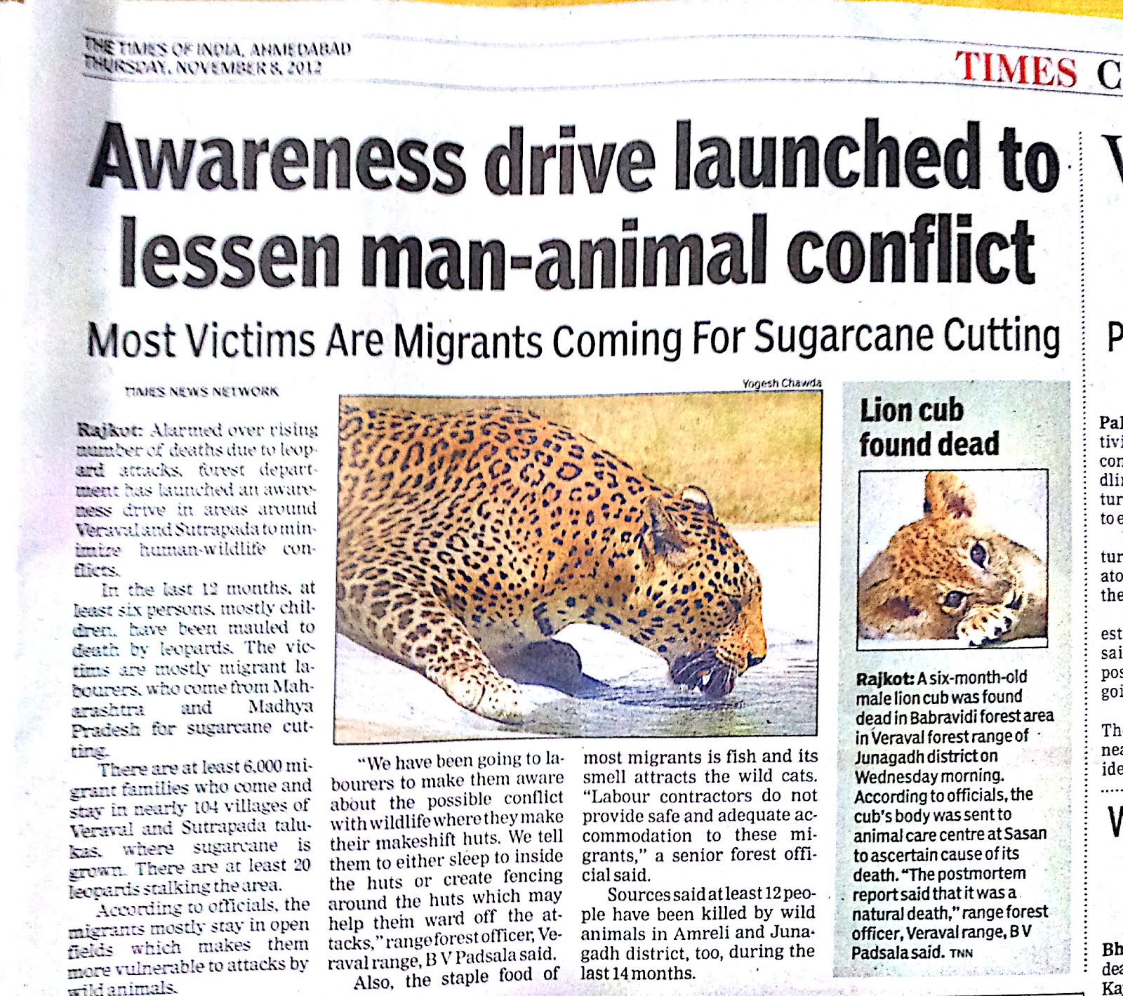 Latest News on Asiatic Lion: Awareness drive launched to lessen man-animal  conflict