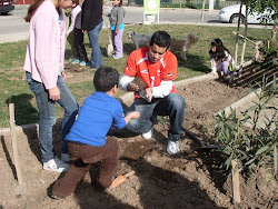 Padres ayudando a hermosear nuestra plaza.