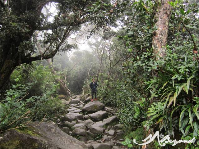 Mt Kinabalu trail, mt kinabalu difficulty, trail of kota kinabalu, trail of mt kinabalu, mt kinabalu rocks