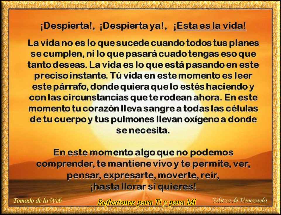 Ver las imágenes de origen