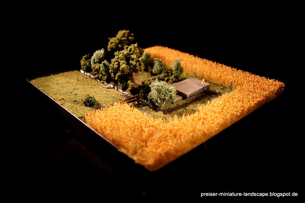Preiser´s Miniature Landscape August 2014