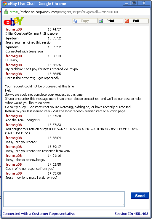 Blogging for Myself eBay Sucks!