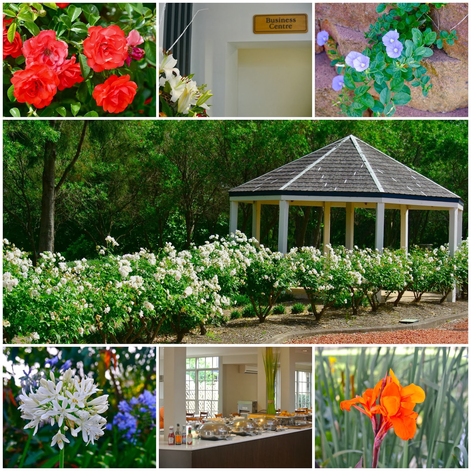 The Sebel Resort & Spa Hawkesbury Valley
