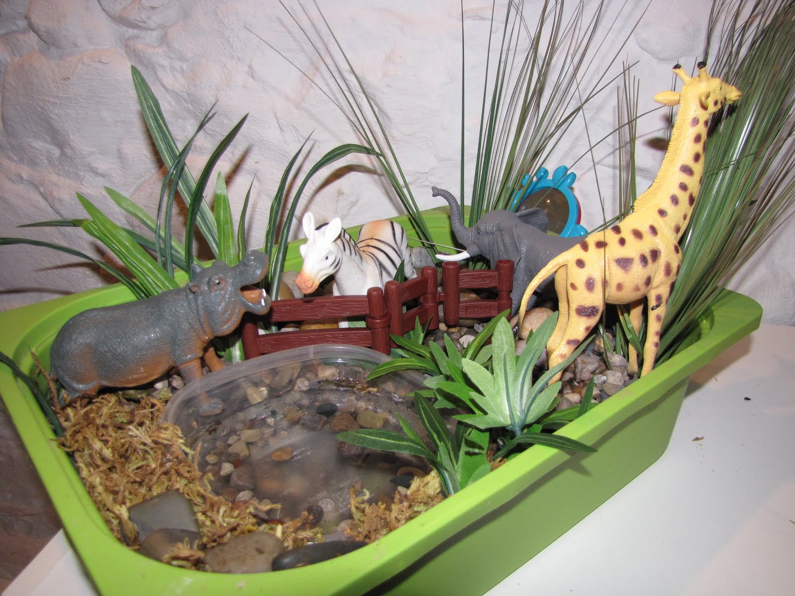 From A to Z Zoo Sensory Bin