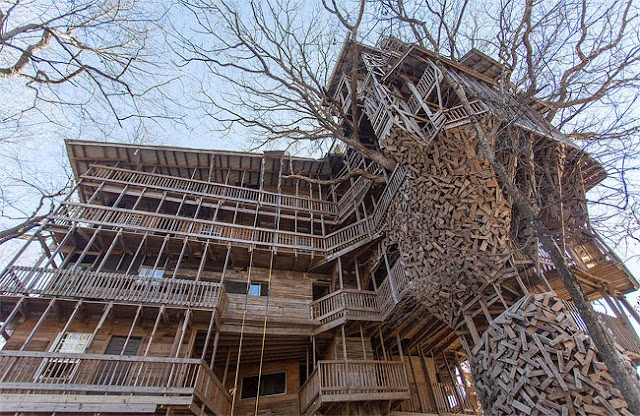 Dentro más grande Casa del Árbol del Mundo - EE.UU.