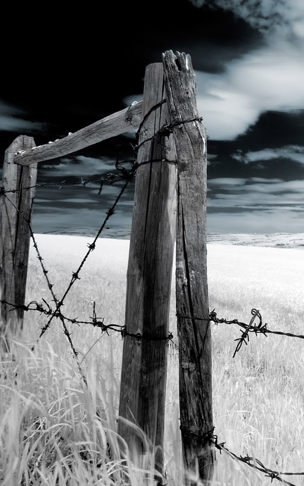 Dark Wood Fence Barbwire Android Wallpaper