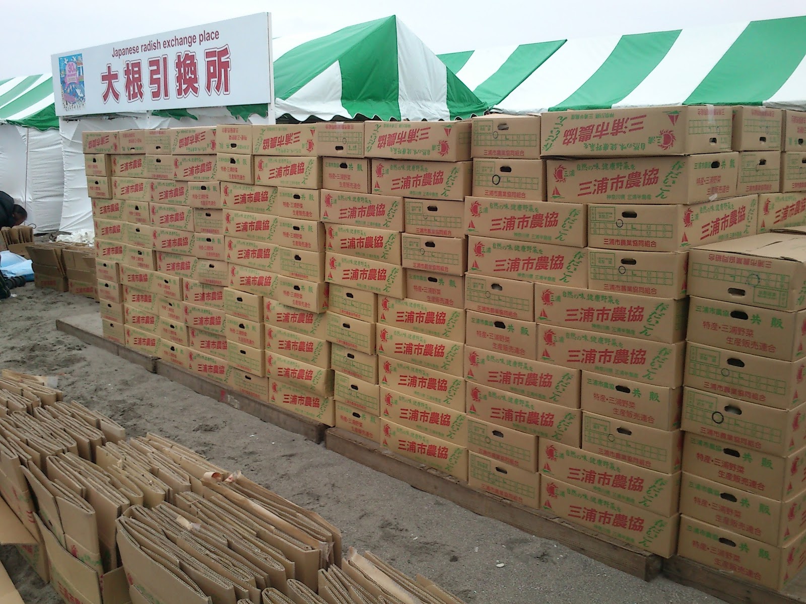 Tohlog 三浦国際市民マラソン