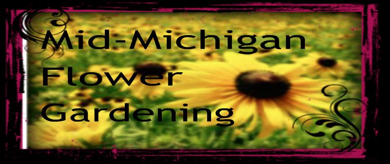 Mid-Michigan Flower Gardening