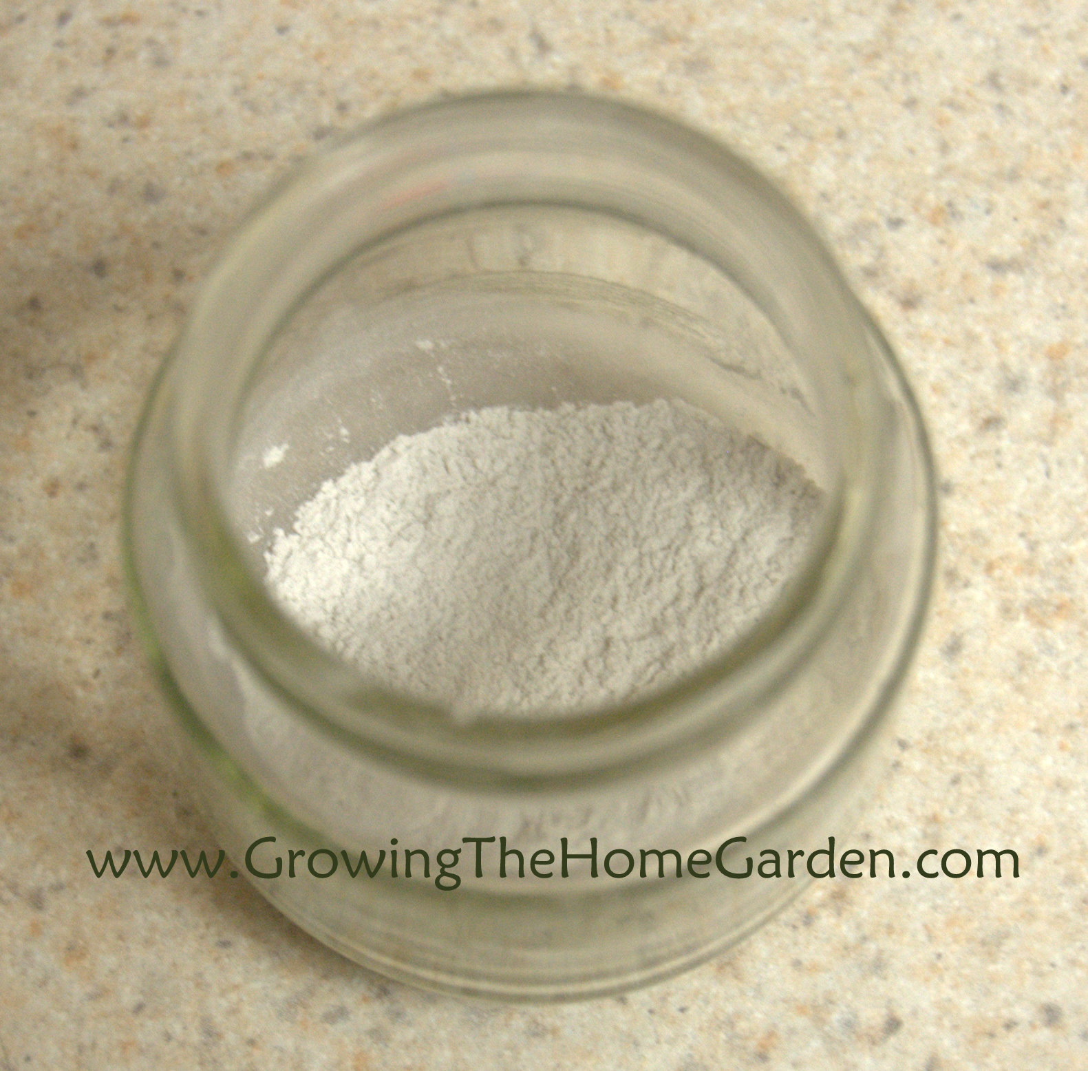 Propagating Blueberries through Cuttings My First Attempt Growing