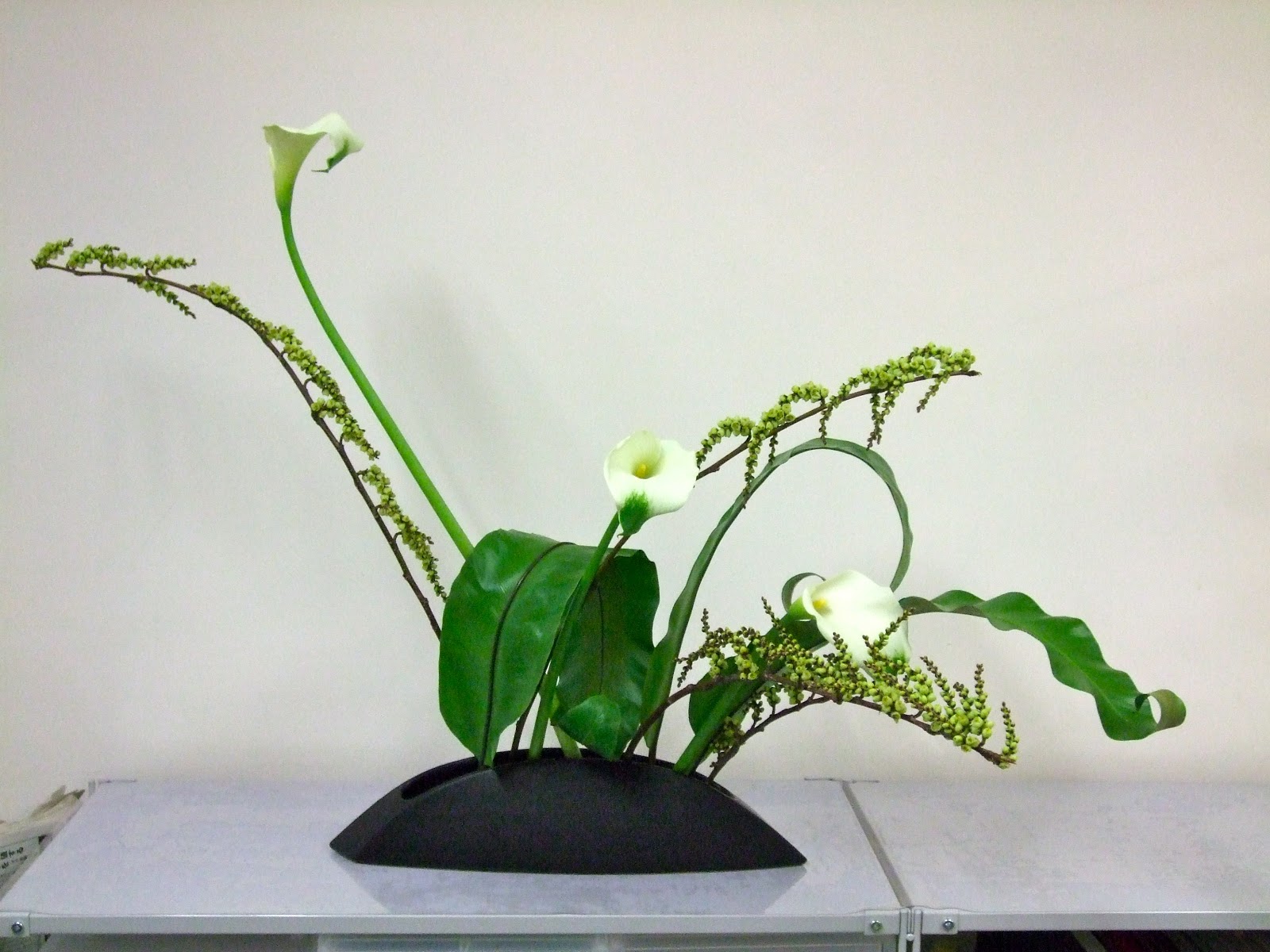 ちぃ道場 なんたって好日 自由花 きぶし たにわたり カラー