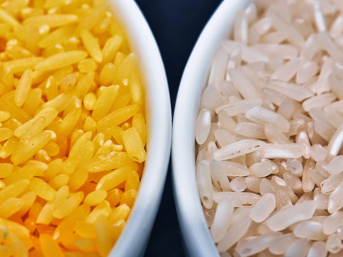 Golden Rice