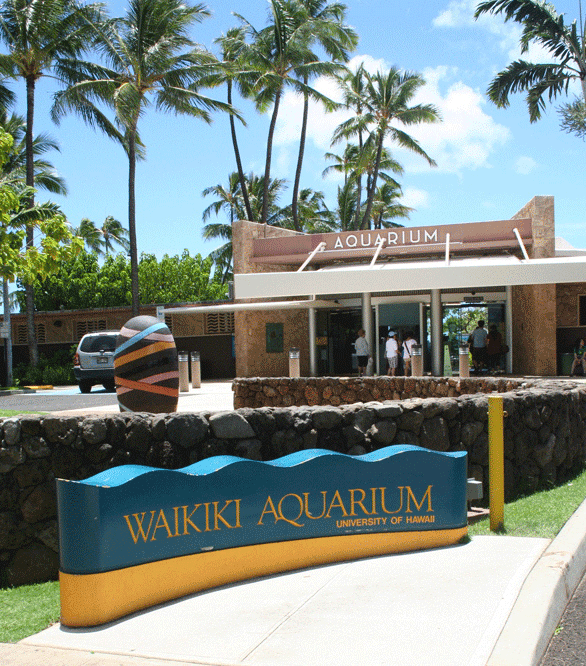 World Tour's & Travel Honolulu is Best Known Tourist Destination