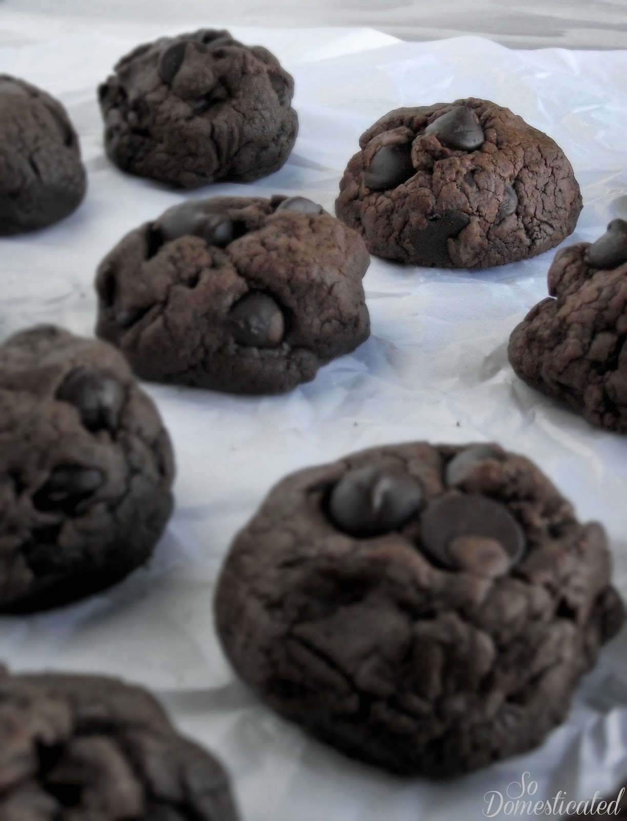 So Domesticated Dark Chocolate Chip Cookies...