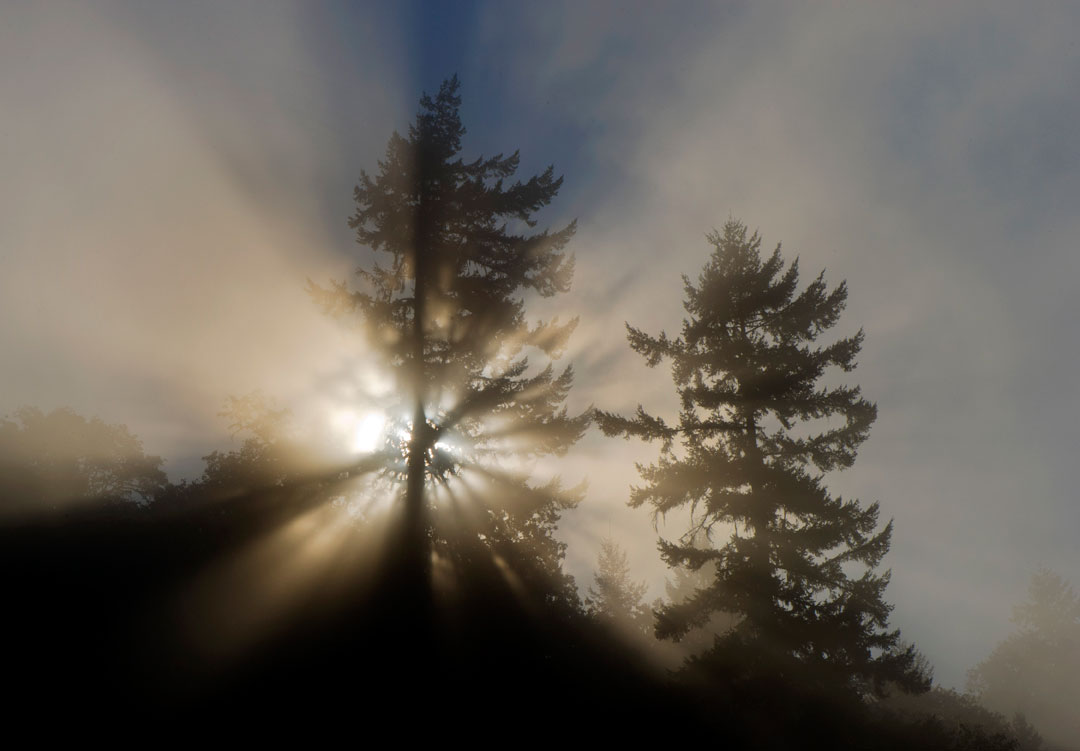 Robin Loznak Photography Good Day Sunshine