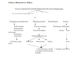 Pathway Hematemesis Melena Pathophysiology