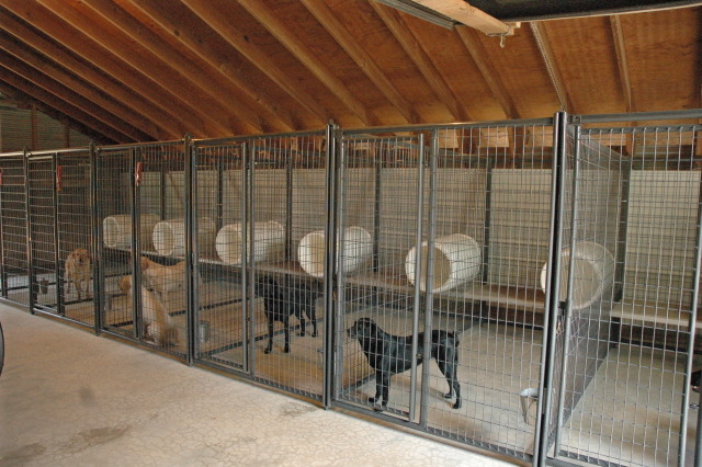 The Real APBT: Dog Kennel Setups and Designs