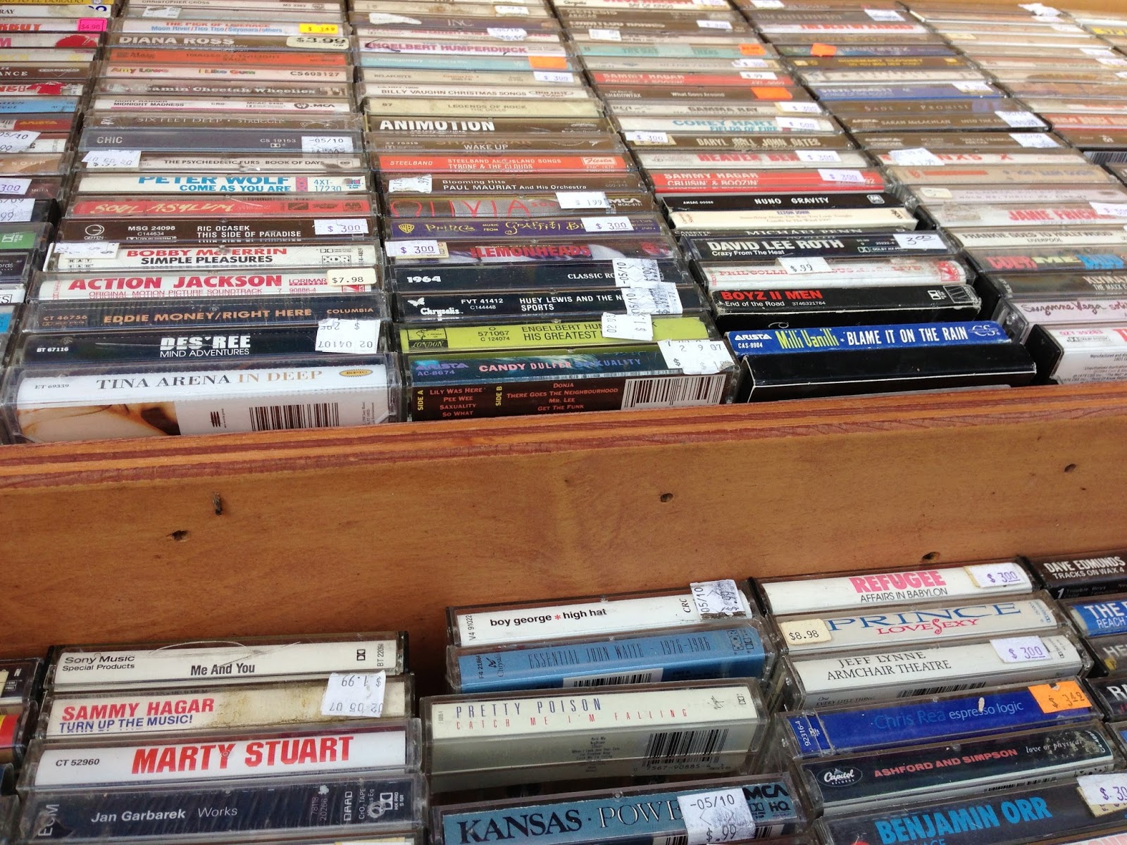 Stallion Alert Record Collecting Portland, OR Cassette Store Day 2013.