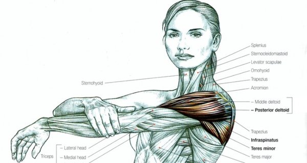 Read This Before Ever Stretching Again (and that includes for your back and sciatica pain) Read This Before Ever Stretching Again