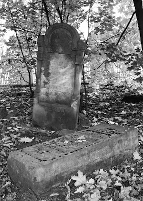 Kirkut w Grodzisku Mazowieckim / The Jewish cemetery in Grodzisk Mazowiecki