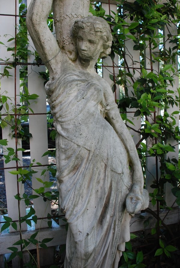 Children of the Corm A Charleston Garden Blog How To Age A Brand New