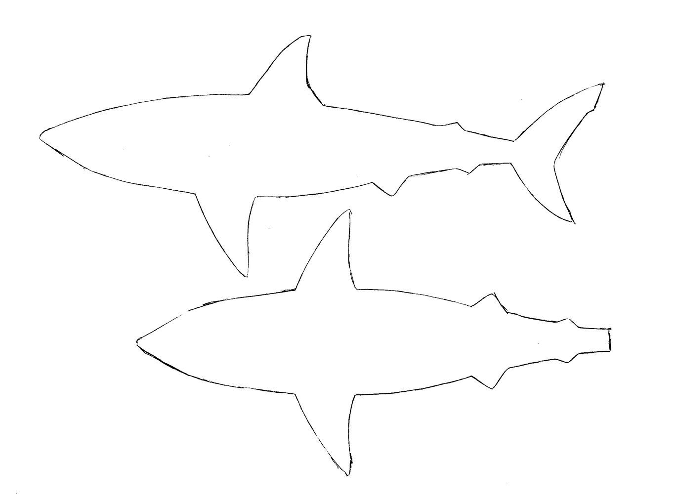 shark outline template barca fontanacountryinn com shark outline template