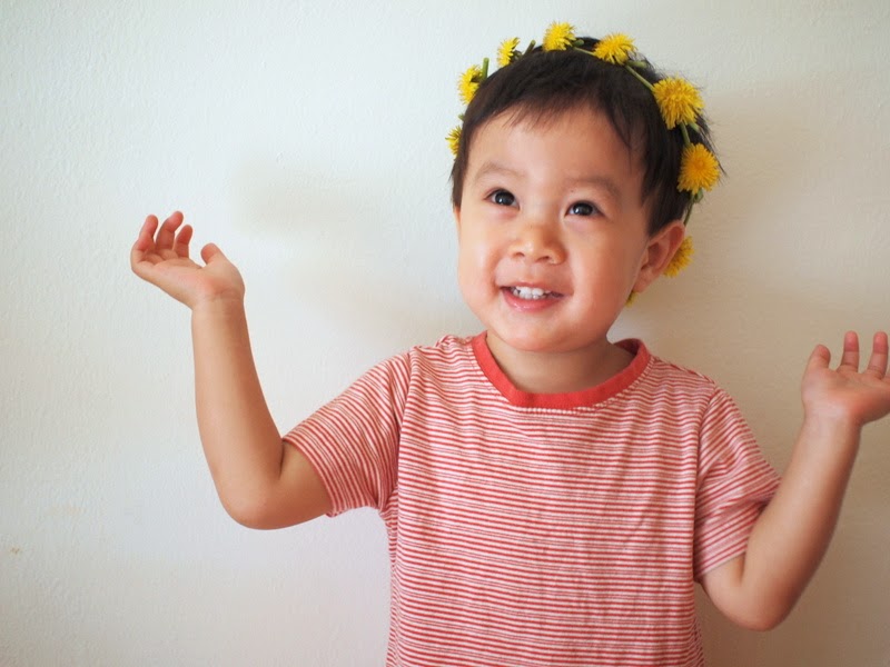 DIY Dandelion Crown Pink Stripey Socks