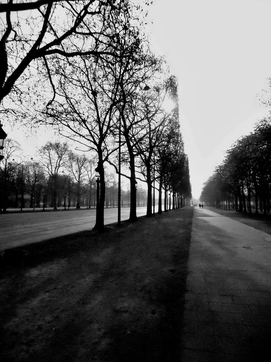 Les champs Elysées