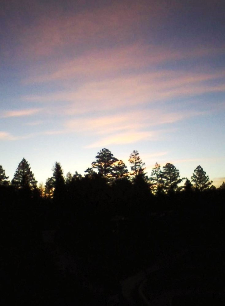 Here And Now Old Stones Old Bones