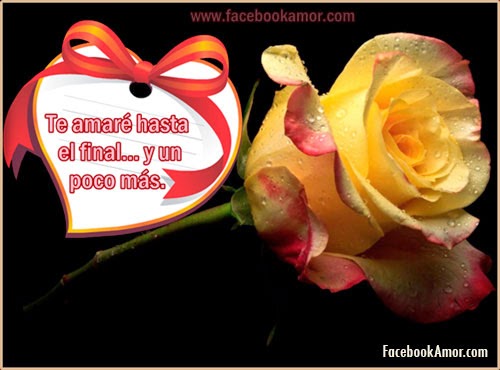 Rosas de amor para facebook imagenes de flores de rosa para facebook