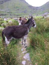 Blocking the path to a foot bridge