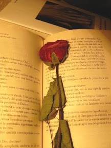 La noche de los libros<br>23 de abril de 2012